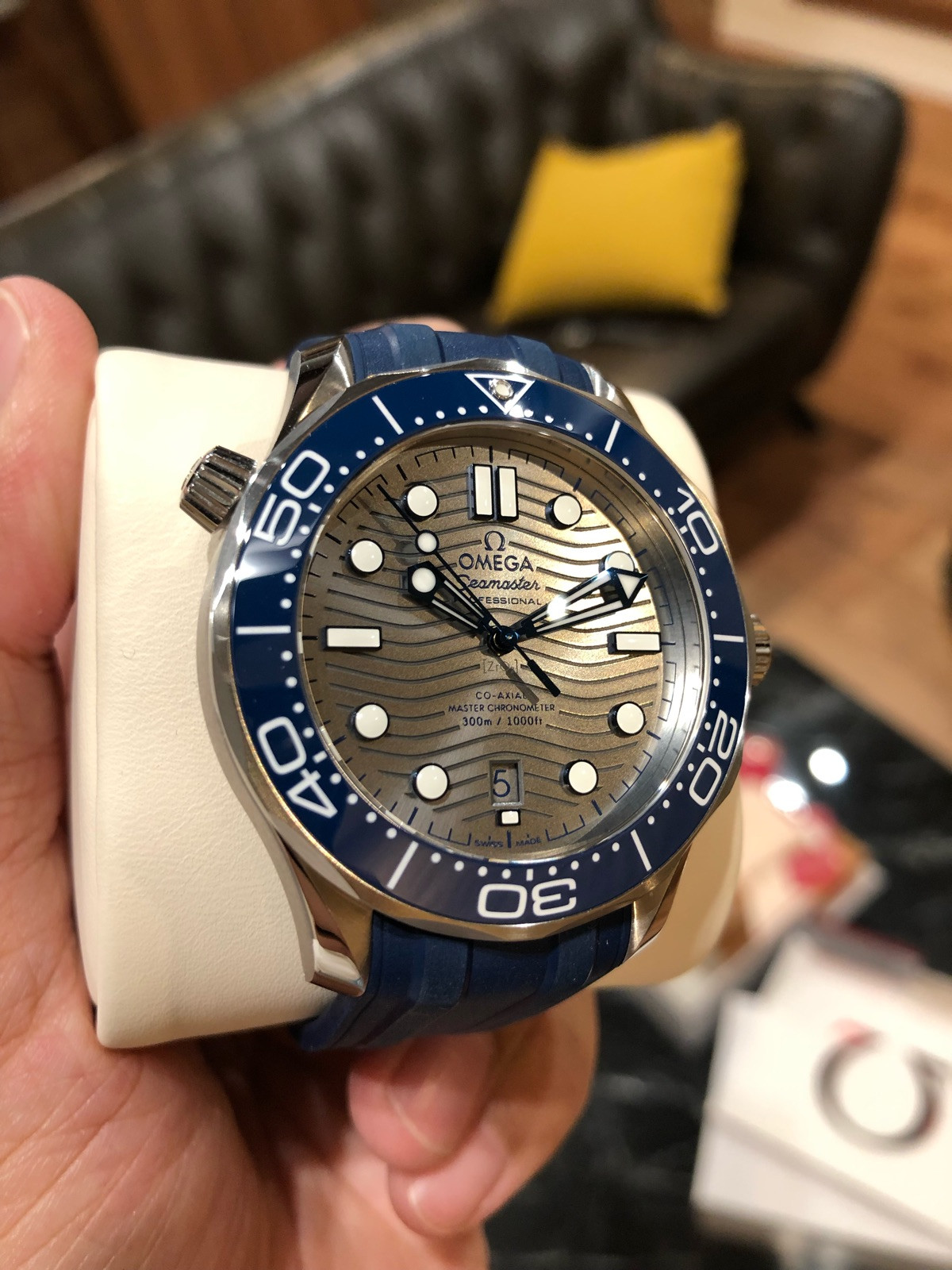 5.Omega Seamaster Series 210.32.42.20.06.001 (300M)