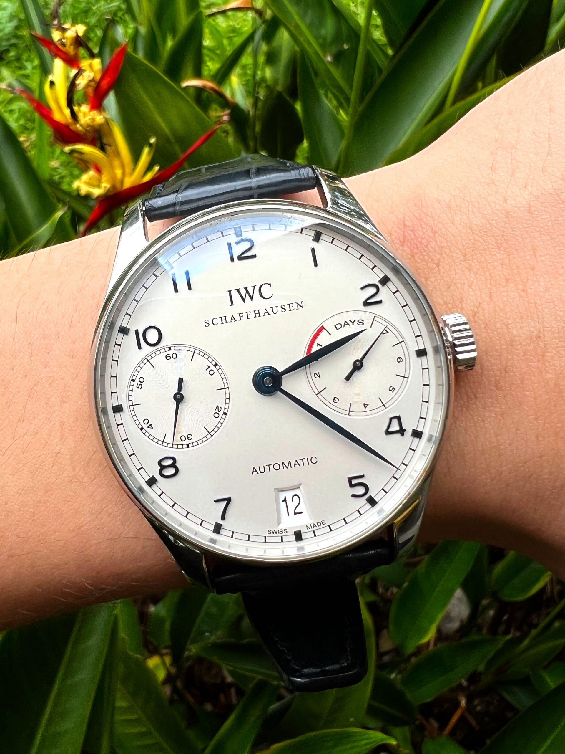 IWC Replica Watch